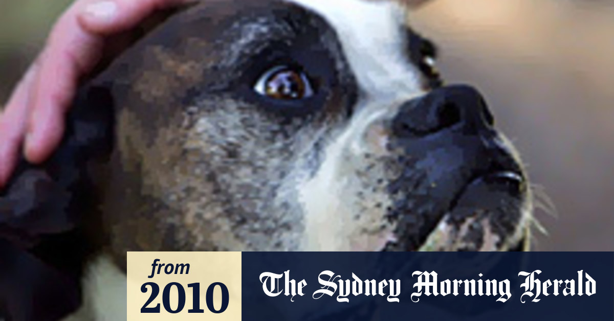 Bowled over by rude dog owners